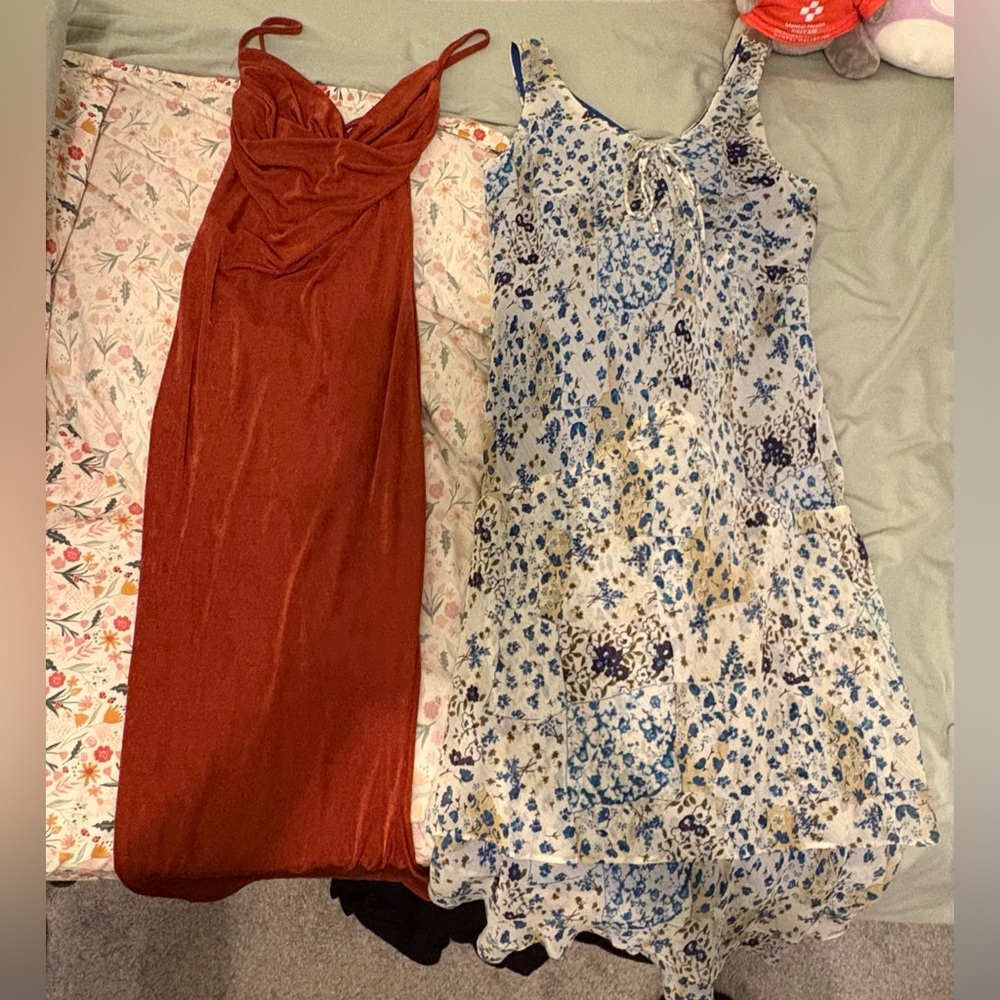 Floral Blue and White Dress with Rust Maxi Dress